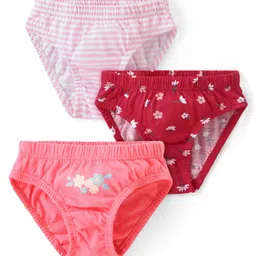 Babyhug 100% Cotton Single Jersey Panties with Floral & Stripes Pattern Pack of 3 - Multicolor image 1