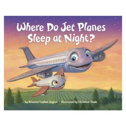 penguin random house Where Do Jet Planes Sleep at Night Board Book by Brianna Caplan Sayres - English-picture-4