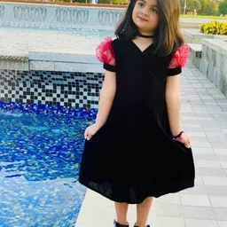 DISHA CREATIONZ Ruffled A-Line Dress-picture-44