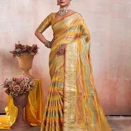 DIVASTRI Woven Design Zari Organza Kanjeevaram Saree-picture-29