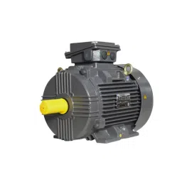CG Power 3 HP Axelera Process Performance Squirrel Cage Induction Motor IE4 TEFC 3 Phase 6 Pole 1000 RPM, XABAAD07311AA1A01A-picture-32