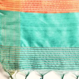 VISHNU WEAVES Colourblocked Silk Blend Tussar Saree image 5