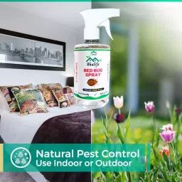 Bhulife 200+50 ml Fresh Fragrance Bedbug Killer Spray image 5