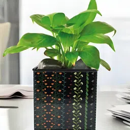 VoiDrop Black Floral Printed Desk Flower Planter-picture-20