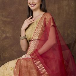 Dupatta Bazaar Organza Dupatta-picture-31