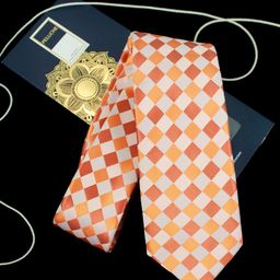PELUCHE Men Orange & Red Checked Broad Tie-picture-24