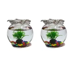 SOMIL Pack Of 2 Transparent Glass Fish Bowls-image-91