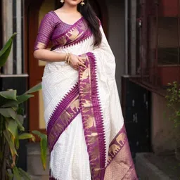 FASHIONIZO Checked Woven Design Zari Banarasi Saree With Blouse Piece-picture-41