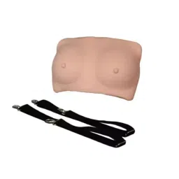 A-ONE SCIENCE Skin Color PVC Breast Examination Model AOSBM201 image 3