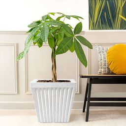 RUBOXA 2Pcs White UV ProtectedPlanters-picture-25