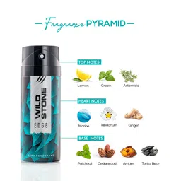 Wild Stone Men Set of 2 Red & Edge Deodorants image 3