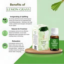 Asian Aura 48-Pcs Brown Aroma Oils 10 ml image 2