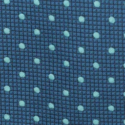 The Tie Hub Men Teal Blue Printed Ascot Tie image 3