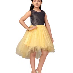 YK Net Girls Fit & Flare Dress image 2