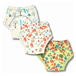 Kindermum Block Fish Combo Set of 3 Training Pants- Large-picture-1