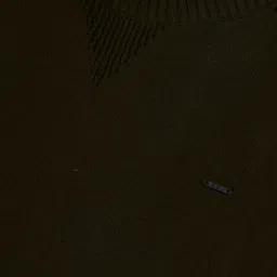 Gini & Jony Woven Full Sleeves Pullover Sweater with Placement Design - Black image 3