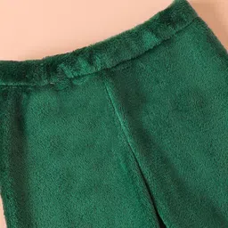 Mark & Mia Full Sleeves Winter Wear Night Suit With Animal Print - Green image 5