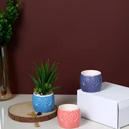 TAYHAA Pink & Blue 3 Pieces Owl Charm Printed Ceramic Planters-picture-41