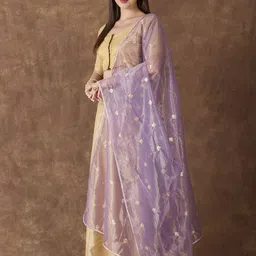 Dupatta Bazaar Embroidered Dupatta with Sequinned image 2