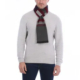 Moda Rapido Men Striped Cashmere Designer Mufflers image 2
