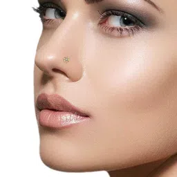 dishis 18K/14K Yellow/Rose/White Gold Nose Pin(Screw) for Women image 2