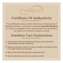 VANBELLE Oval Hoop Earrings image 5