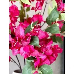 Mason Home Artificial Bougainvillea Stem Without Pot- Pink (Pack of 3) image 2