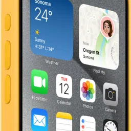 Apple Soft Silicone Back Cover for Apple iPhone 15 Pro Max (Supports Wireless Charging, Sunshine) image 4