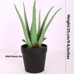Home Bloom Green 1 Pieces Artificial Plant With Pot image 4
