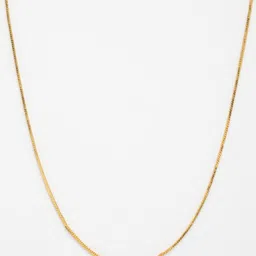 SZN Gold-Plated Chain image 3