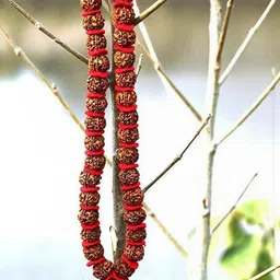 Divine souvenirs Multi Alloy Necklace image 3