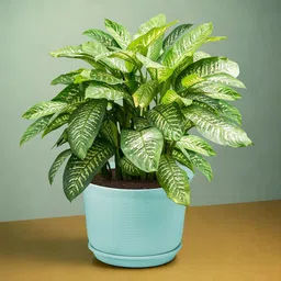 Kuber Industries 10Pcs Blue Textured Planters With Plate image 2