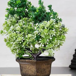 Dekorly Green Plastic Artificial Flowers & Plants With Pot-picture-37