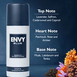 Envy Men Set of Blue Sigma & Blue Vibe Long Lasting Deodorant Spray - 165 ml each image 4