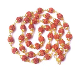 Divine souvenirs Brown Alloy Necklace-picture-14