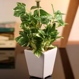 fourwalls Polyester Green Mini Wandering In Gray Ceramic Pot Artificial Plants image 1