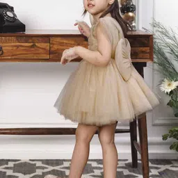 The Lush Affair Girls Print Flutter Sleeve Net A-Line Dress image 4