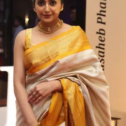 TheWonderWorld Striped Woven Design Zari Saree image 3