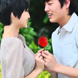 Peora Gold Plated Cubic Zirconia Studded Contemporary Shaped Studs With Red Rose image 3