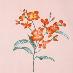 Myntra Elegant Homes Peach-Coloured Printed 300 TC Fitted King Bedsheet Set 2.5 x 2.2 m image 3