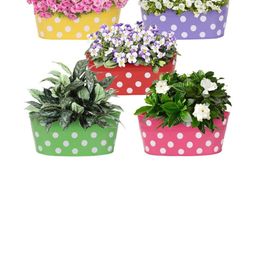 Go Hooked Metal Hanging Planter | Metal Railing Planter 12 Inch | Set of 5-picture-32