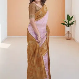 Ramraj Ethnic Motifs Zari Art Silk Saree image 4