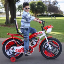 tony raw 20T 20 T (inch) Road Cycle image 3