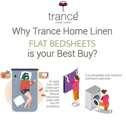 Trance Home Linen Cream Striped Pure Cotton 200 TC Single Bedsheet Set-1.98 m x 91 cm image 3