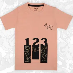 J&JP Boys 2 Printed Applique T-shirt image 5
