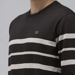 ColorPlus Round Neck Striped Sweatshirt image 4