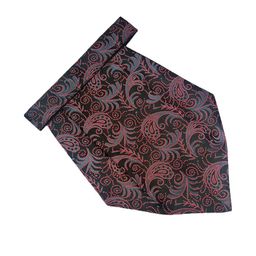 voici Paisley Design Cravats-picture-5