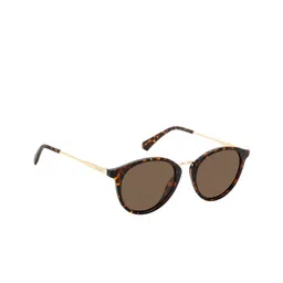 Polaroid Unisex Brown Lens & Brown Other Sunglasses with UV Protected Lens-image-5