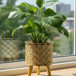 AARVI DECOR STUDIO Yellow Mesh-Designed Freestanding Round Bloom Planter-picture-31