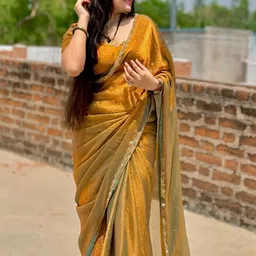 VRAGI Embroidered Pure Chiffon Saree image 2